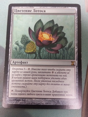 Lotus Bloom - Russian